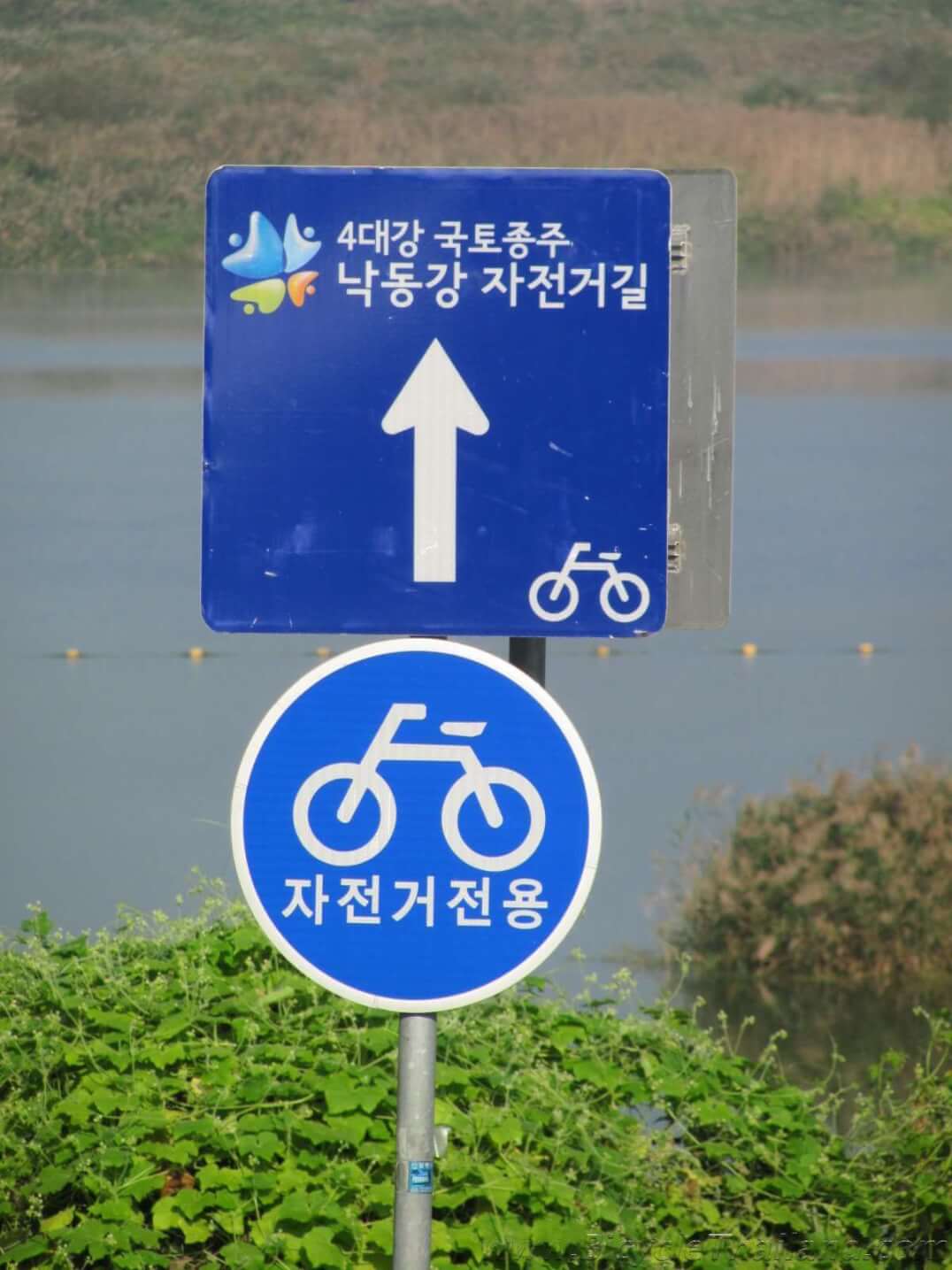 Biking through South Korea road sign indicating straight