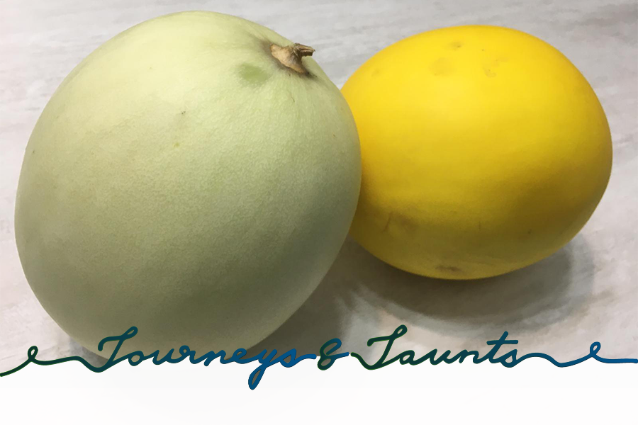 Gourd melon is a must-eat during the beginning of autumn solar term