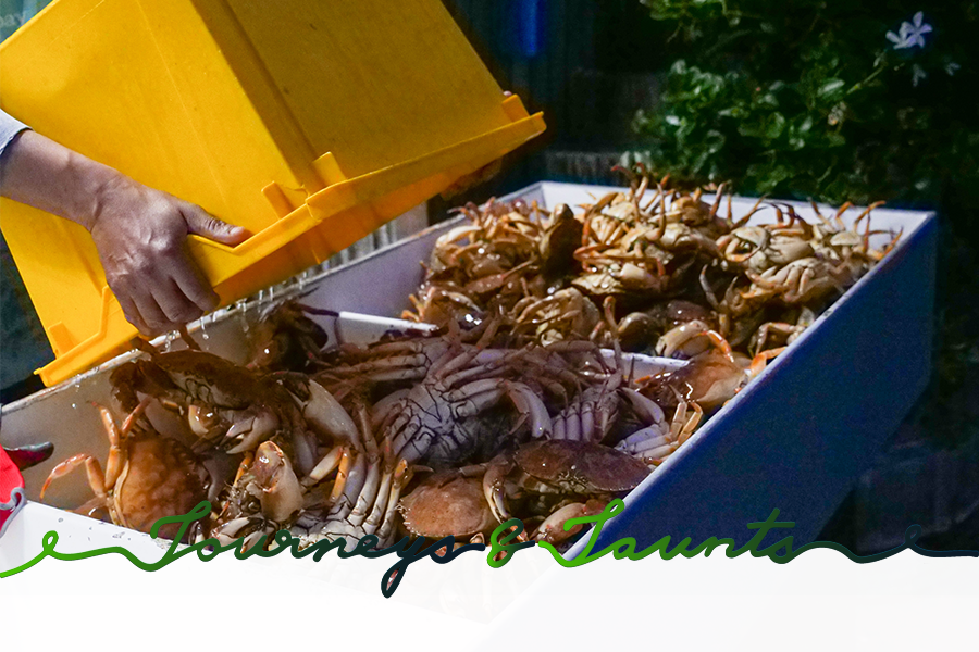 Crabs' harvest during Autumn Equinox